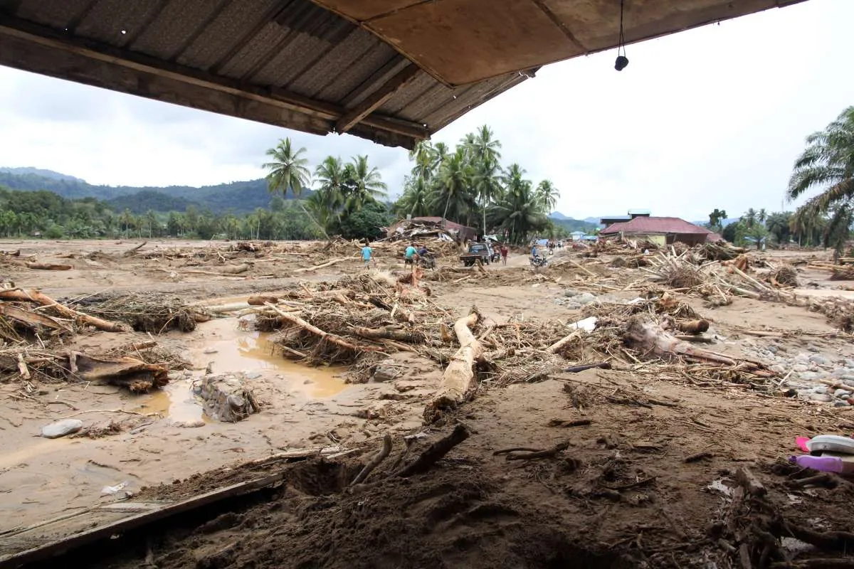 Dugaan Illegal Logging Terkuak: Kayu Gelondongan Hanyut saat Banjir Sumatra Jadi Sorotan