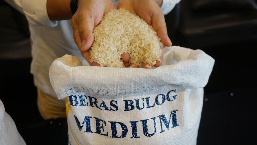 Bulog Gandeng BRIN untuk Antisipasi Beras Berkutu di Gudang Penyimpanan